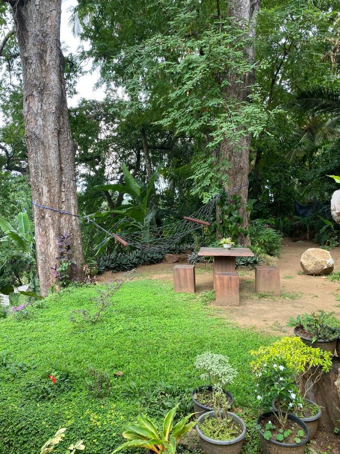 Pearl'S Homestay ماتالي المظهر الخارجي الصورة