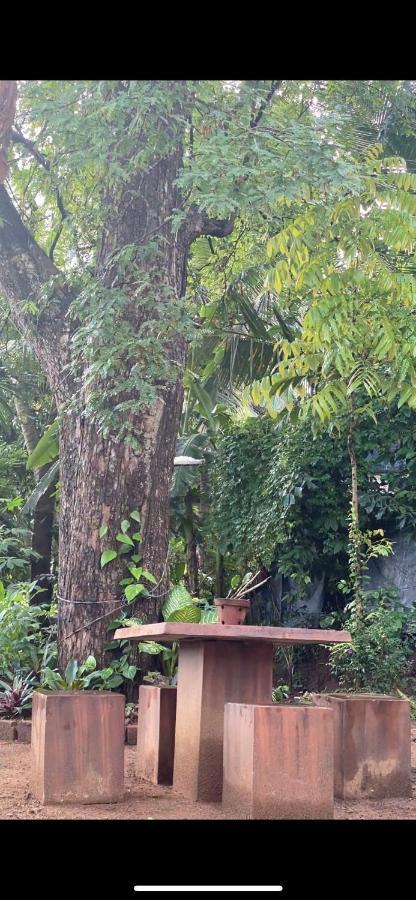 Pearl'S Homestay ماتالي المظهر الخارجي الصورة